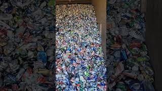 Do you recycle your aluminum cans ScrapLife recycle recycling business aluminum cans metal [upl. by Ahsykal]