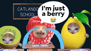 BERRY CAT IS CRYING 🥺 FRUIT CATS🍓🥝😃 catmemes animation [upl. by Donough46]