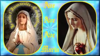 AM222 Ave Maria de Lourdes amp Fatima  quotÔ Vierge fidèlequot [upl. by Ehcropal]