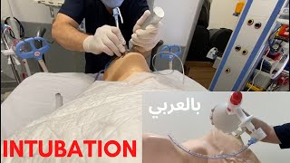 التنبيب الرغامي  Endotracheal Intubation Arabic [upl. by Nirok]