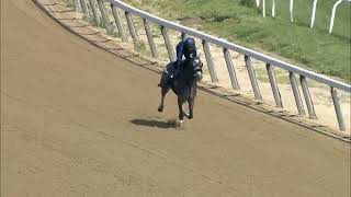 Arcangelo Works on the Belmont Main Track  May 31 2023 [upl. by Sibylla787]