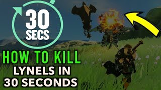 How to Beat a Lynel in 30 Seconds or Less in Zelda Breath of The Wild [upl. by Esinaj]