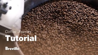 Coffee Tutorials  Discover the art of coffee roasting  Breville USA [upl. by Greenfield]