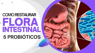 Como restaurar a flora intestinal com 5 probióticos incríveis Tratamento Natural [upl. by Anair993]