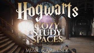 Cozy Study Spaces in Hogwarts  Harry Potter Hogwarts Legacy Ambience [upl. by Enaj]