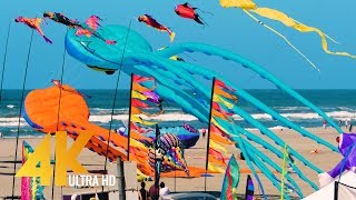 Washington Kite Festival in WA  4K Ultra HD Relaxation Video with Waves Sounds [upl. by Evelyn593]