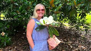 AIRLIE GARDENS northcarolina flowerlover [upl. by Baalbeer]