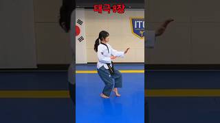 Taegeuk8  Taegeuk Pal Jang  Taekwondo shorts [upl. by Ahslek]