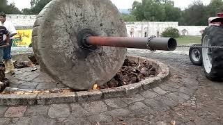 LA MOLIENDA DEL MEZCAL Proceso de trituración de plantas de agave mezcalero previamente cocido [upl. by Aicilla]