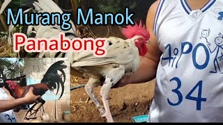 MURANG MANOK  PANABONG  PRESYONG ABOT KAYA [upl. by Babita]