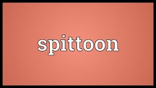 Spittoon Meaning [upl. by Alemahs]