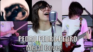 Pedro Pedro Pedro  Metal Cover [upl. by Poyssick202]