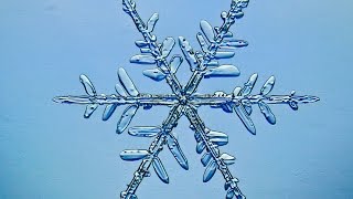 Snowflake Formation [upl. by Camden]