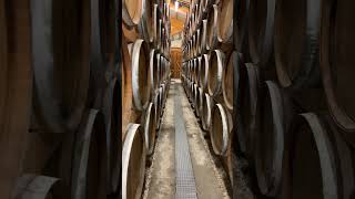 Barriques de cognac [upl. by Marek]