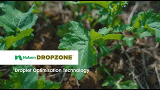 Introducing Nufarm DROPZONE [upl. by Boucher]