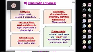 Lecture 1Digestion amp Absorption Dr Moaz Mojaddadi [upl. by Maddalena]