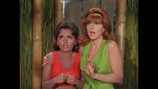 Not Guilty Ginger amp Mary Ann Gilligans Island Voiceover [upl. by Htrow]