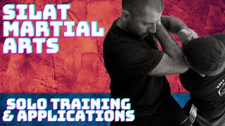 Silat Martial Arts  Solo Training Juru [upl. by Leile262]