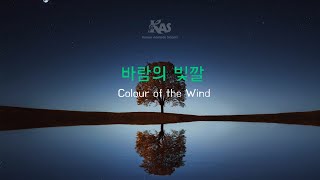 바람의 빛깔 포카혼타스 ost ㅣ KAS호주 애들레이드 한인 합창단 제1회 정기공연 [upl. by Eusassilem878]