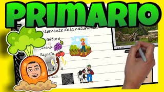 🚜 SECTOR PRIMARIO ► para NIÑOS de PRIMARIA [upl. by Freemon]