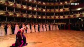 ELINA GARANCA  Live 55th Vienna Opera Ball 2011 [upl. by Analram960]