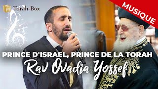 Prince dIsrael Prince de la Torah  Rabbénou Ovadia Yossef [upl. by Nostets]