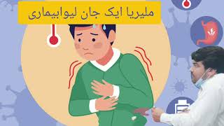 ملیریا کےعلامات  Symptoms of Malaria Pashto [upl. by Lyrehc]