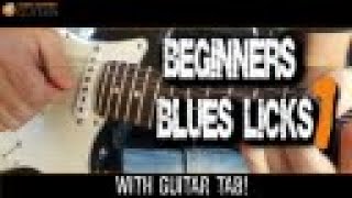 Beginners Blues Licks Lesson Part 1 [upl. by Ilatfen920]