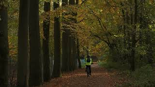 Depuis 40 ans dans le Bois de Lauzelle LLN Central Belgium by HabariSalam [upl. by Kamat]