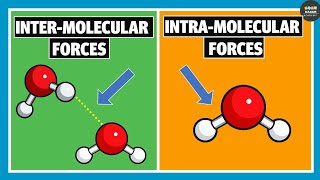 Intermolecular Forces and Intramolecular Forces  Chemistry [upl. by Carleen]