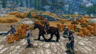 Formation with Followers【Skyrim】 [upl. by Mecke]