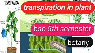 transpiration and its type bsc 5th semesterbotanytranspirationtype of transpiration [upl. by Pollie]