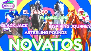 NOVATO RACE  EL JALEO amp FLAMING JUNE VS BLACK JACK VS INSPIRING JOURNEY VS ASTERLING POUNDS [upl. by Halimak]