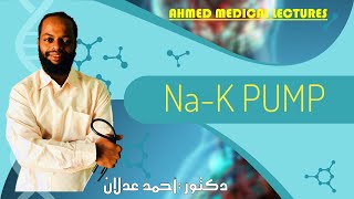 Physiology NaK Pump [upl. by Vera]