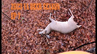 2023 VA DEER SEASONEP 7BIG BUCK KILLED ON CAMERADOG HUNTING IN CENTRAL VIRGINIASHOTS FIRED [upl. by Nitsug281]