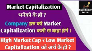 What is Market Capitalization  Difference in High and Low Market capitalization Companies [upl. by Doloritas]