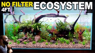 4ft Ecosystem Tank HUGE No Filter Aquarium With No Maintenance Aquascape Tutorial [upl. by Airym]