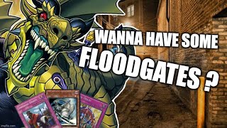 Amorphage  Yugioh TCG Deck Profile 2022 [upl. by Elvis]