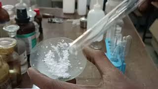 Chemistry Practical class 12 CBSE  SALT ANALYSIS Nessler PhysicsWallah [upl. by Rhiamon]