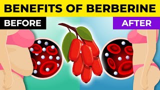 Berberine VS Dihydroberberine  Which is Better for Diabetes [upl. by Dallas127]