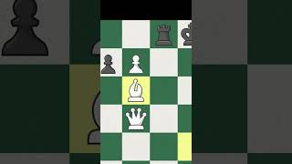 2 QUEENS  Chess Memes shorts chess chessmemes [upl. by Lrub336]