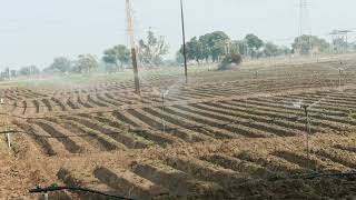 mini sprinkler system subsidy par 90 par dripirrigation minivlog [upl. by Coltun]