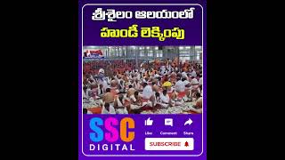 Hundi Calculation Of Srisailam Mallanna Temple  Shorts Sscdigital Balannamuchatlu [upl. by Iatnahs394]