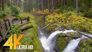 4K Virtual Hike  Amazing Nature Scenery with Soothing Music  Sol Duc Falls Nature Trail [upl. by Novikoff38]