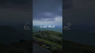 Mathakada handaawe මතකද හැන්දෑවේ ‍ Raini Charuka ft Ruwan Hettiarachchi  love song music sad [upl. by Elston452]