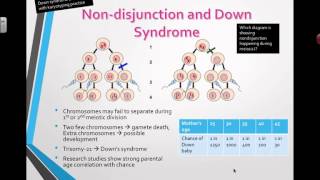 Nondisjunction and Down Syndrome 2016 IB Biology [upl. by Neitsirk]