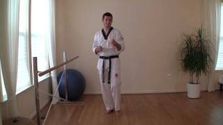 TaeKwonDo Tiger Stance Tutorial [upl. by Gilda]