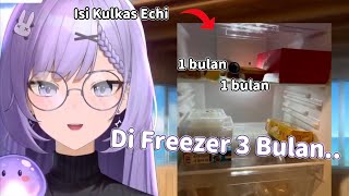 Review Isi Kulkas Echi Setelah Sidak Dadakan Kemarin【Elaine CelestiaReMemories】 [upl. by Anala]