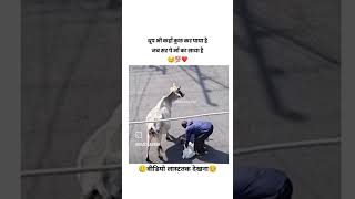 मां का ताकत देख लाइक शेयर भारत वायरल ट्रेडिंग शॉर्ट funny 🥲🥺😊🙂🙂🙏🙏🙏 [upl. by Ari840]