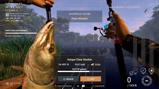 Fishing Planet Unique Clear Muskie Saint Croix Lake [upl. by Udele285]